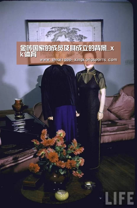 金砖国家的成员及其成立的背景_xk体育(图4)