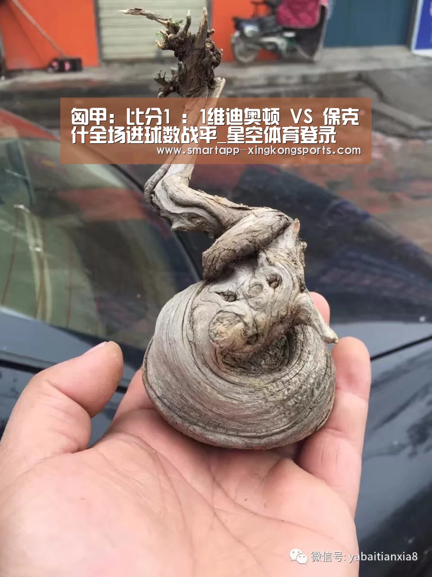 xk体育