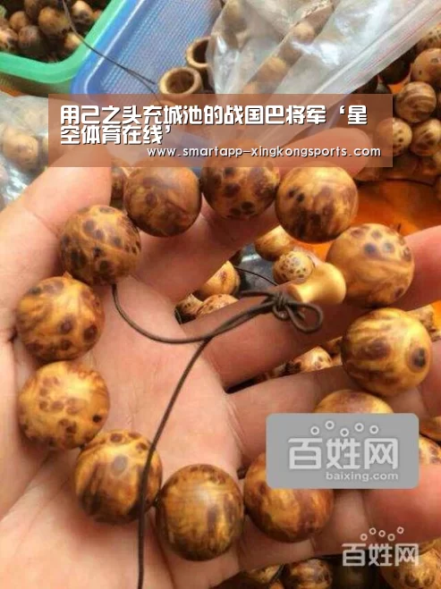 用己之头充城池的战国巴将军‘星空体育在线’(图3) 用己之头充城池的战国巴将军‘星空体育在线’(图3)